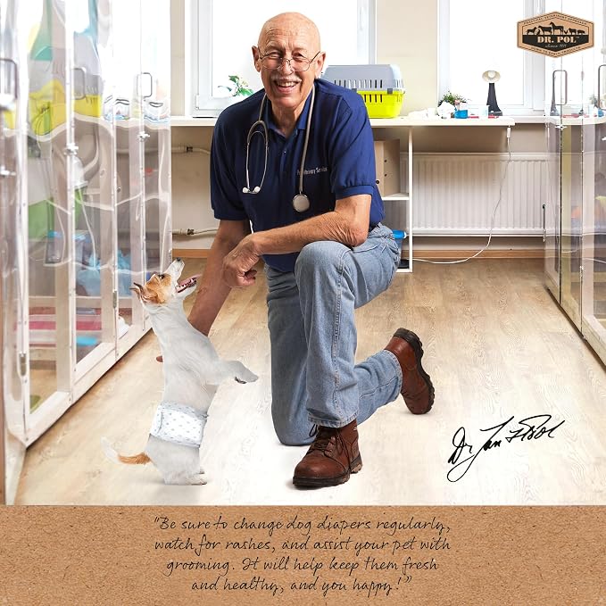 Dr Pol Dog Diapers for Male Dogs | Disposable Pet Diapers with Wetness Indicators | Adjustable Fit | Leak Protection & Super Absorbent | Perfect for Heat Cycles & Training Accidents | Pack of 50
