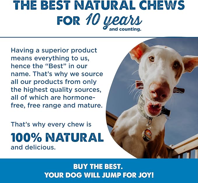 Best Bully Sticks Cheese Wrapped Beef Collagen Sticks - 6 Inch 10 Count (Pack of 1) - All-Natural, USA Baked and Packed, Easily Digestible, Limited Ingredient, Rawhide Alternative