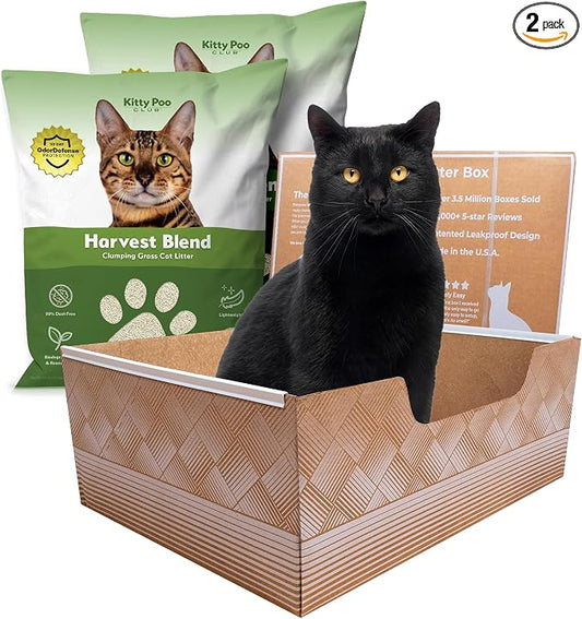 Kitty Poo Club Leak-Proof Disposable Cat Litter Box 2-Pack with 2 Bags Harvest Blend Grass Litter, Fast Clumping, Low Tracking, Soft Texture, Perfect for Travel and Multi-Cat Homes