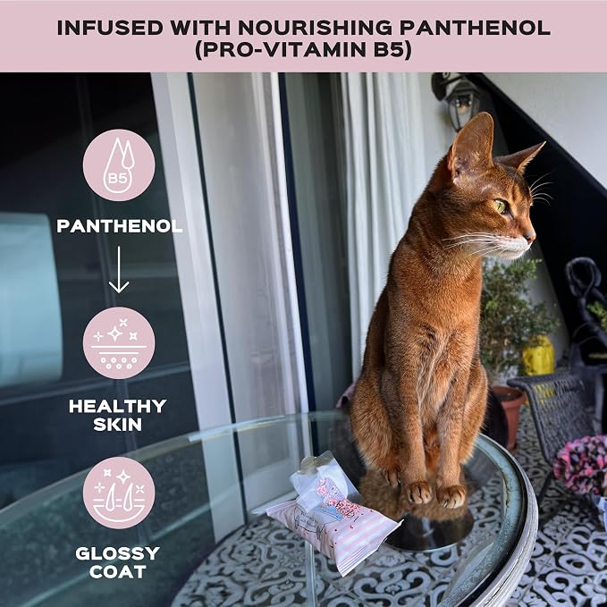 Wet Wipes with Panthenol for Sphynx & Shorthair Cats — 1Pack/15Count Pack, Hypoallergenic Dander & Odor Grooming Wipes