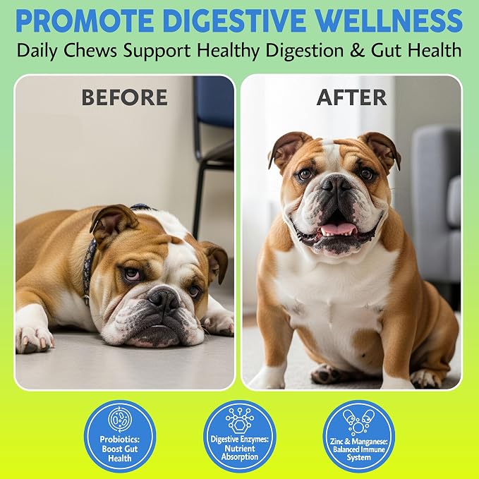 Asher House Wellness Probiotics Digestive Chew for Dogs - Now Lillie & Lee - Probiotic, Digestive Enzymes for Gut Health & Digestion - Pet Chews for Diarrhea, Upset Stomach - 120 Chews