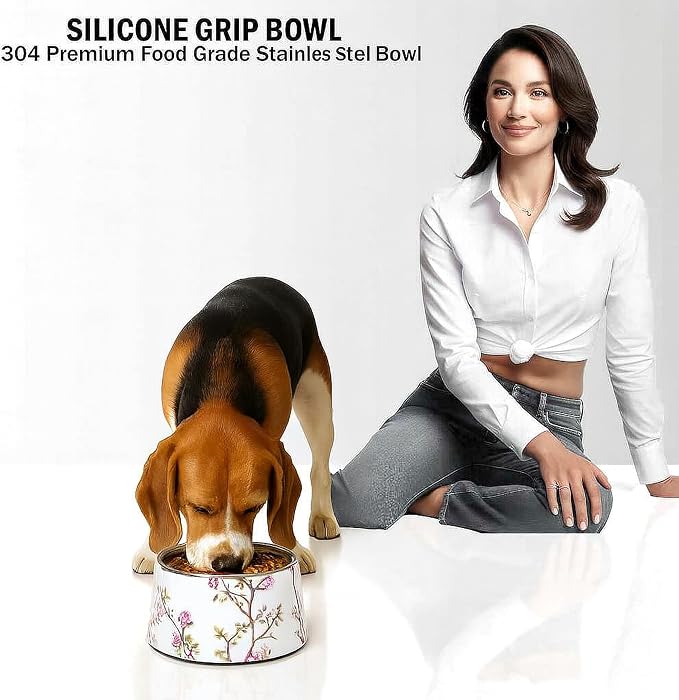 Ceramic Dog Bowl 5 inch Height for Cats and (10-25lbs) Small and Toy size Dogs includes Food-Grade 304 Stainless Steel Bowls Non-Slip 2 Cups(540ml) Bowl Feeder in an Artful and Design (White)