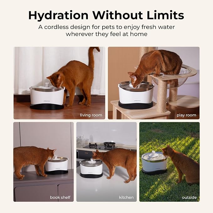 Whiskertons Wireless Cat Water Fountain, Cordless Battery Operated Pet Fountain, 3L/101oz EverMount Cat Fountain, Pet Water Fountains for Cats Indoor, Stainless Steel Tray, Easy to Clean, BPA-Free