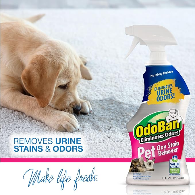 OdoBan Pet Solutions Oxy Stain Remover, Pet Stain Eliminator, 3-Pack, 32 Ounce Spray Each