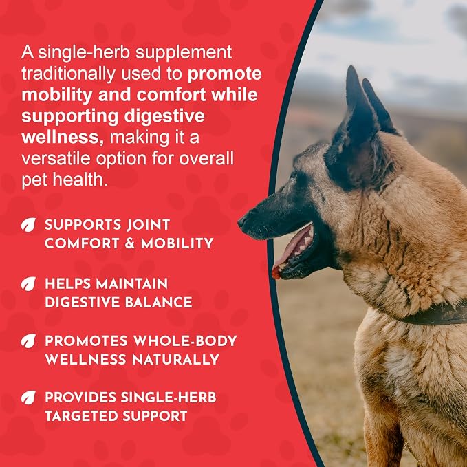 Animal Essentials Yucca - Hip and Joint Yucca Root Supplement for Dogs & Cats, Liquid Herbal Care Drops for Senior Dogs & Older Pets, Bowel & Immune Support, Antioxidant Boost - 1 fl oz