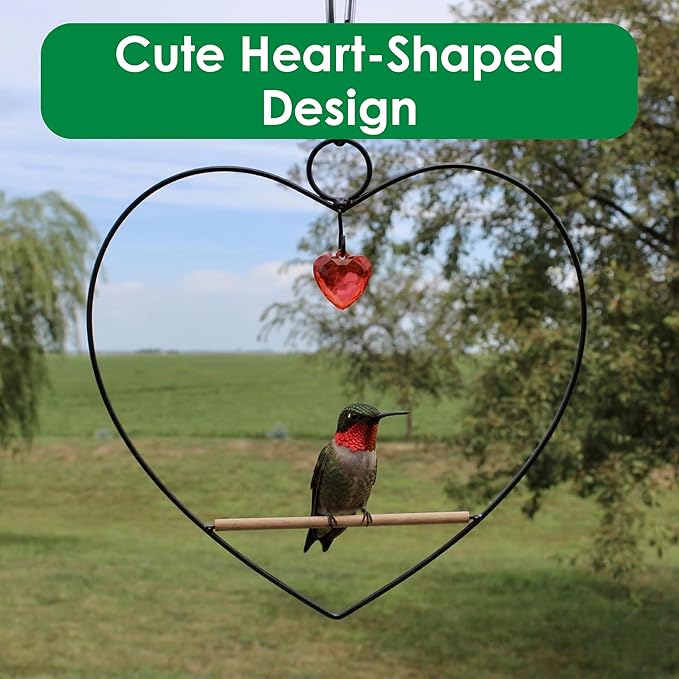 Songbird Essentials Hummingbird Swing - Tweet Heart Birdie Swing - Black Metal Hummingbird Perch