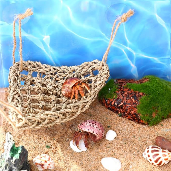14 Pcs Hermit Crab Accessories Natural Hermit Crab Habitat Toy Artificial Moss and Plants Suction Cups for Lizard Chameleon Leopard Gecko Reptile Amphibians Tank Decoration (Rainforest Style)