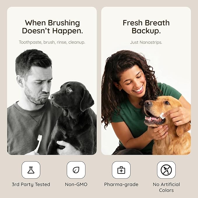 Dog Dental Treats Strip – 10-Pack Dog Breath Treats | Dissolves in Seconds | Teeth Cleaning Strip | Pet Oral Care Mint Strips