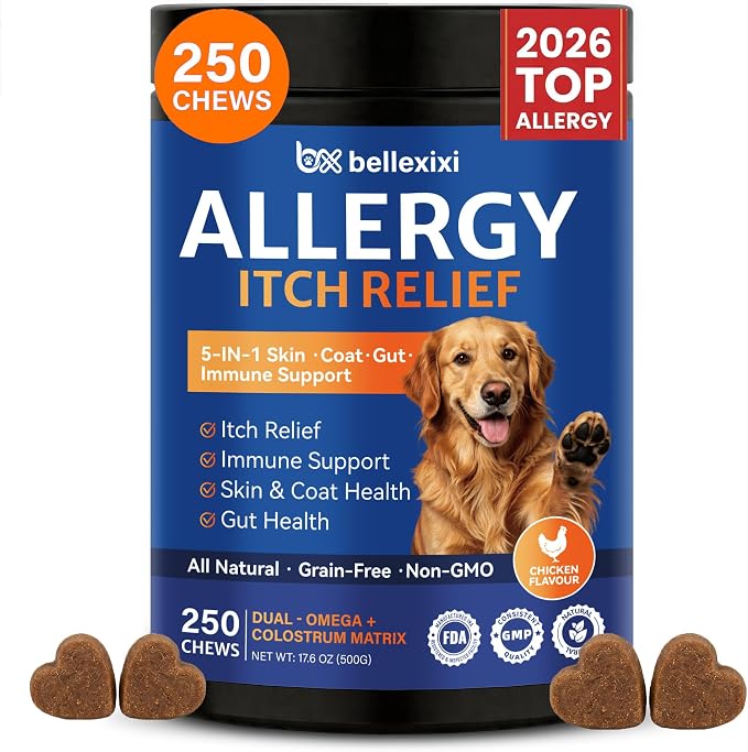 Dog Allergy Chews 250ct - Seasonal Allergy & Itching Skin Relief for Dogs - Soft Chews with Colostrum, Probiotics & Omega 3 for Licking Paws, Hot Spots & Immune Support - Chicken Flavor (17.6 OZ)