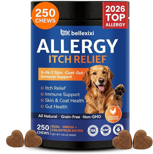 Dog Allergy Chews 250ct - Seasonal Allergy & Itching Skin Relief for Dogs - Soft Chews with Colostrum, Probiotics & Omega 3 for Licking Paws, Hot Spots & Immune Support - Chicken Flavor (17.6 OZ)