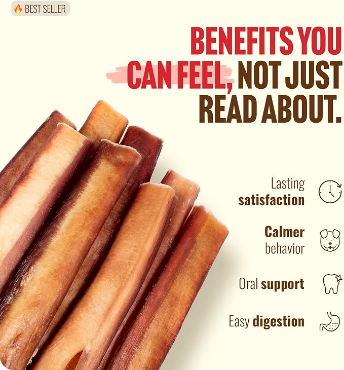 Natural Farm Odor-Free Thick Bully Sticks (6”, 18-pack) ALL-NATURAL Long-Lasting Dog Chews, 100% Beef Pizzle, Grass-Fed, Grain-Free, Protein for Muscle Development & Energy, Perfect For Medium Chewers