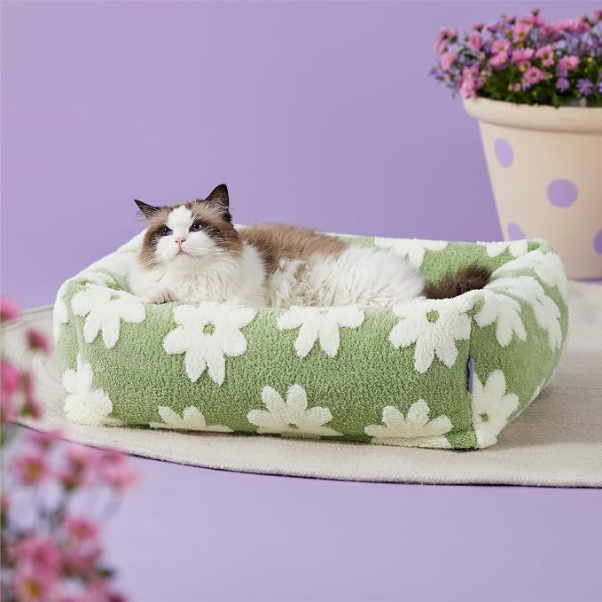 LE SURE Cute Dog Bed for Small Dogs & Cats- Washable Puppy Beds,Cozy Rectangle Orthopedic Pet Sofa with Jacquard Shaggy Plush & Anti Slip Bottom,20x19x6inches