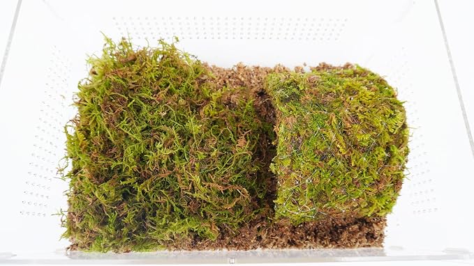 Hermit Crab Cage, Hermit Crab Starter Kit with Tank and 2QT Substrate and a 8 Inch Hideout