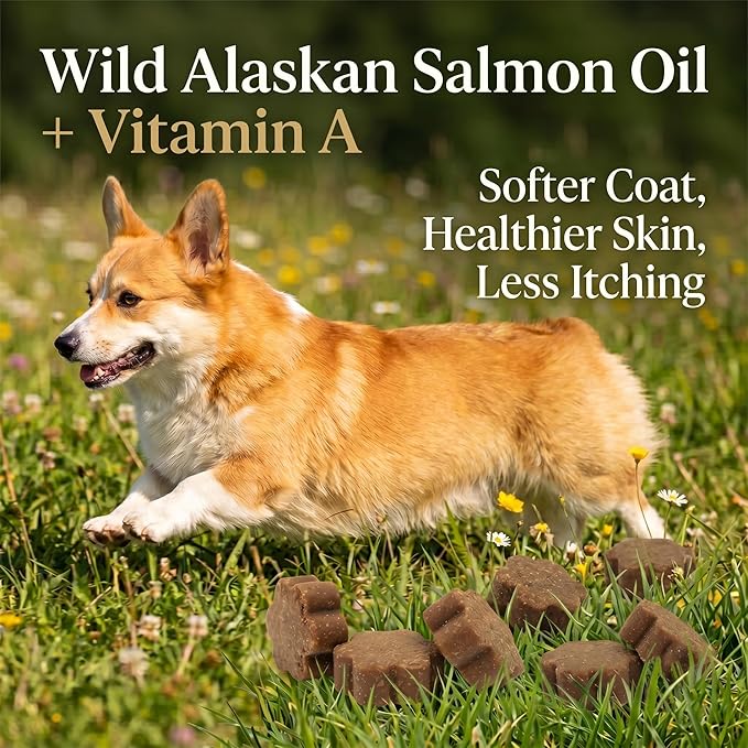 Dog Allergy Chews, Multivitamin Itch Relief Chews for Dog, Beef Flavor | With Salmon Oil, Chondroitin & Natural Vitamins, Skin and Coat Healthy, Digestive & Boost Immunity, 60 Soft Chews