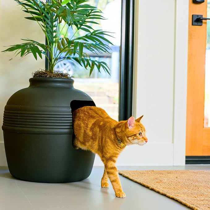 Good Pet Stuff Original Hidden Litter Box Planter, Decorative Cat Litter Enclosure, Carbon Filter, Faux Plant, Round Design, Easy to Clean, Base Kit, Palm Plant, Charcoal Black