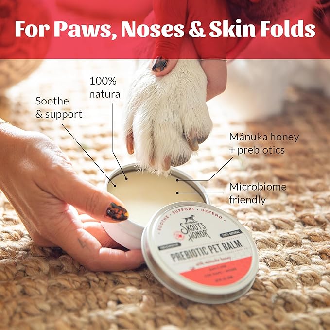 SKOUT'S HONOR Prebiotic Pet Balm - 100% Natural and Made w/Manuka Honey to Promote Healing of Your pet's paw Pads and Nose, Soothes Dry, Itchy Paws and Noses - Safe for Cats and Dogs, 2oz, 1-Pack