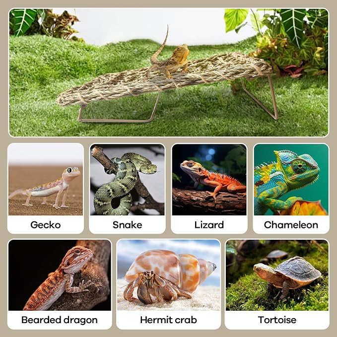 Bearded Dragon Hammock, 15.75''x7.28'' Large Reptile Tank Accessories with Collapsible Sturdy Metal Legs, Basking Platform Bed Habitat for Lizard Leopard Gecko Snake Turtle Hermit Crab and Frog