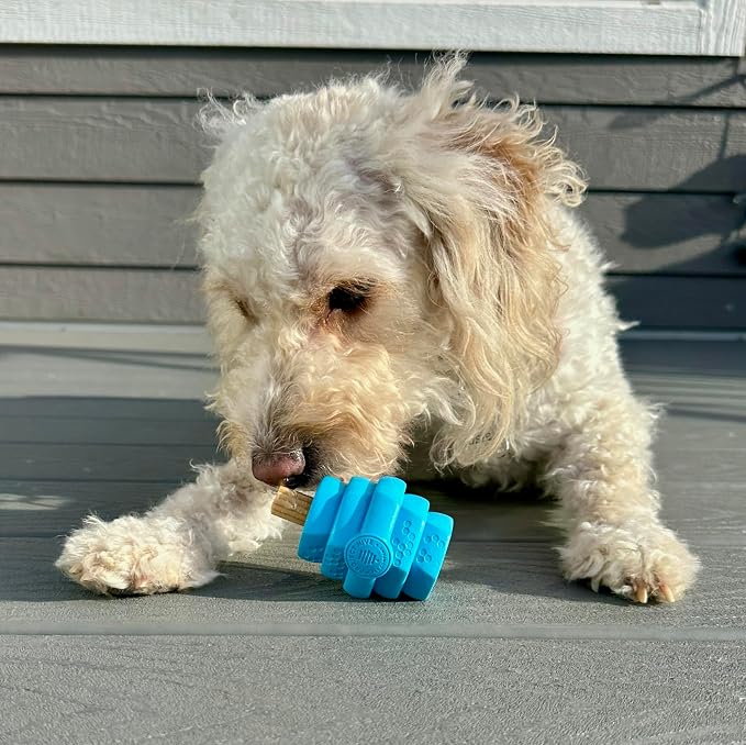 HIVE Parent (Soothing Vanilla, Hive Chew Toy for Small Dogs)