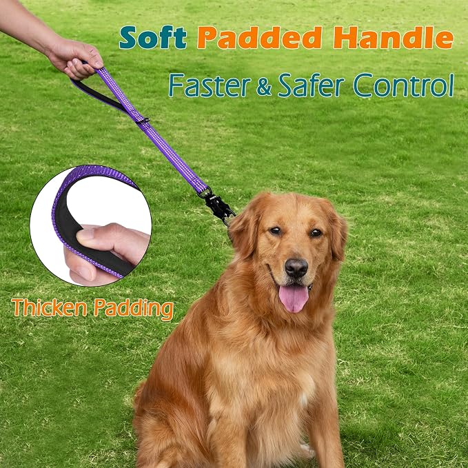 PetBonus Heavy Duty 18 Inch Short Dog Leash and 2-Pack Large Silicone Collapsible Dog Bowls