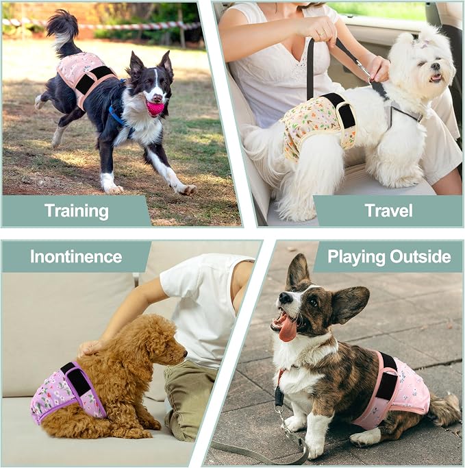 Female Dog Diapers - Premium Reusable Diapers for Doggie in Heat - Highly Absorbent Dog Diapers Female for Pet Incontinence with Adjustable Snaps Flowers, L