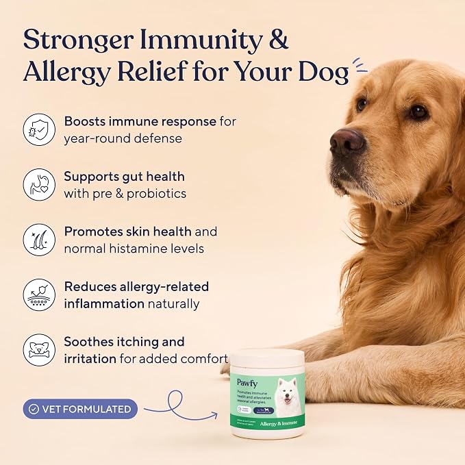 Pawfy Dog Allergy Chews for Large Breed with Itchy Skin & Paw Licking | Allergy & Immune Support for Dogs with Probiotics, Salmon Oil, Turmeric & Vitamin B12 | 30 Turkey Flavoured Chews