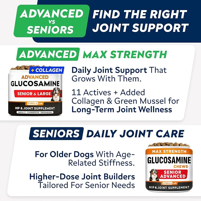 STRELLALAB Advanced Glucosamine Hip & Joint Supplement for Senior Dogs & Horses - Green Lipped Mussel & Collagen - Hip & Joint Pain Relief - Large & Small Breed - Joint Health - 120 Chews