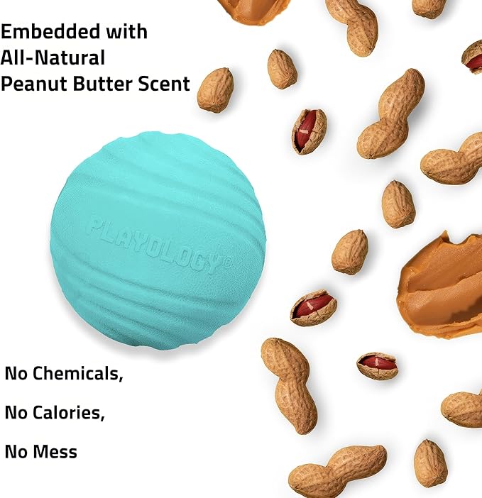 Playology Dog Toys | Dual Layer Ball Durable Chew Toy for Tough Chewers | Peanut Butter Medium Scented Dog Toy | Chew Toys for Dogs
