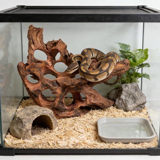 emours Porous Natural Driftwood for Aquarium, Aquascaping Driftwood with Holes, Hand-Selected Tunnels & Hideouts, Aquascaping Hardscape, Terrarium Reptile Décor, No Paint or Resin (16-20" (40-50 cm))