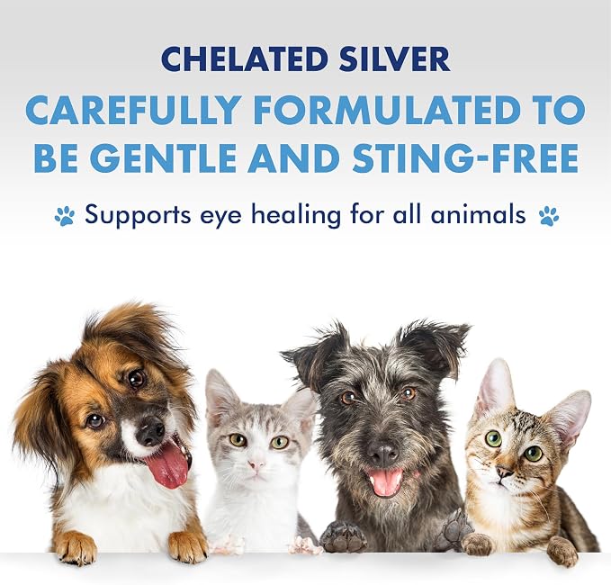 PetSilver Eye Wash (4 fl oz) & Ear Wash (8 fl oz) with Patented Chelated Silver - Gentle Eye Cleaner, Tear Stain Remover, and Ear Treatment for Itchy & Inflamed Ears in Cats and Dogs - Made in USA