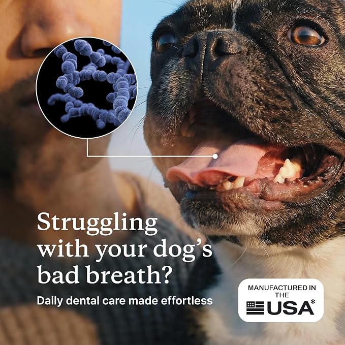 PetLab Co. ProBright Dental Powder - Dog Breath Freshener - Teeth Cleaning Made Easy – Targets Tartar & Bad Breath - Formulated for Small Dogs - Packaging May Vary