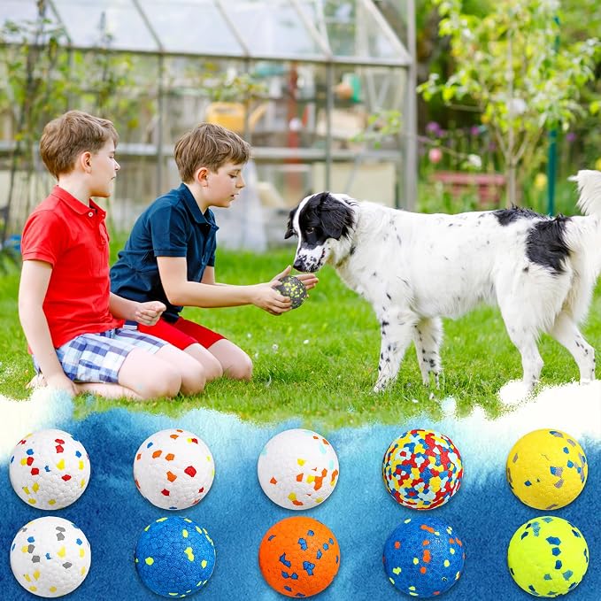 Lenwen 10 Pcs Dog Toy Balls Tennis Ball for Aggressive Chewers Interactive for Large Medium Small Puppy Boredom and Stimulating Bouncy Floating Rubber Toy(2.5 Inch,Glitter Color)