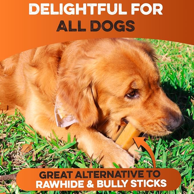 BRUTUS & BARNABY Yak Cheese Himalayan Dog Chews for Aggressive Chewers – Rich in Nutrients, Long Lasting Yak Chews for Small to Large Dogs.(12pk)