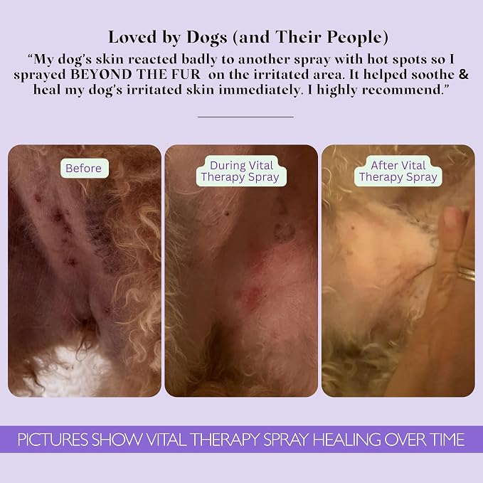 Vital Skin Therapy Spray For Dogs – Anti-Itch, Paw-Licking, Hot-Spot Relief Spray For Dogs - Promotes Healing & Skin Repair, For Sensitive Skin - Gentle First Aid with Aloe Vera & Oatmeal