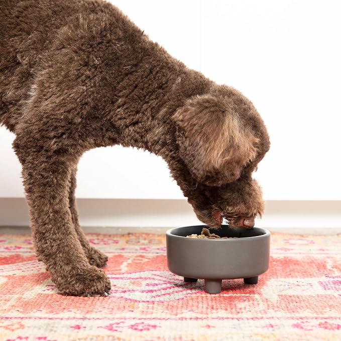 Waggo Uplift Ceramic Dog Bowl for Small Medium and Large Breeds - Heavyweight and Durable Pet Food and Water Dish Crock, Dishwasher Safe, Modern, Elevated Feeder (Speckle, Large)