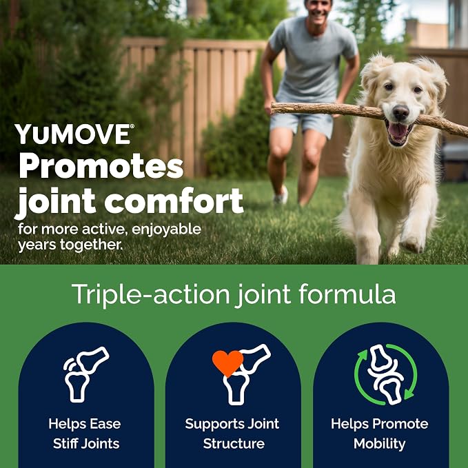 YuMOVE Senior Dog Joint Supplement with ActivEase Green Lipped Mussel - Glucosamine for Dogs, Hyaluronic Acid & Omega 3 – Advanced Mobility Support for Aging Dogs (120ct Chewable Tablets)