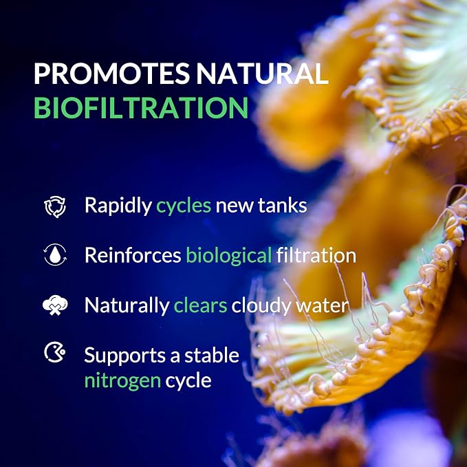Saltwater Complete – Live Nitrifying Bacteria Blend for Saltwater & Reef Aquariums - Instant Cycle Marine Tank Starter - Removes Ammonia Nitrite - Clarifier - Safe for Fish Coral Invertebrates - 32oz