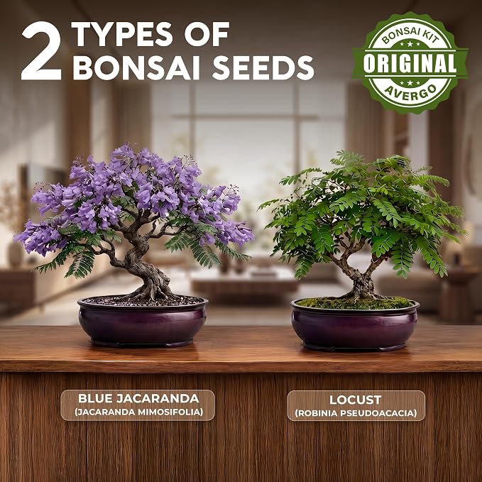 Bonsai Starter Kit – 2X Bonsai Tree | Complete Indoor Starter Kit for Growing Bonsai Plants with Tools & Planters – Gardening Gifts for Women & Men