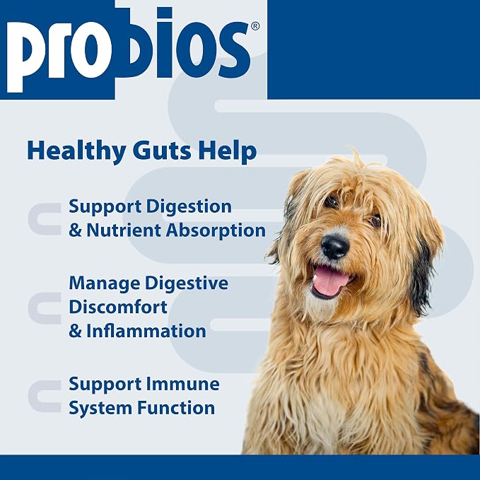 Probios Chewable Tablets for Dogs, Daily Probiotic Supplement for Gut Health, Digestion & Immune Support, Improves Microbiome Balance During Stress, Travel, Chicken Liver, 45 Count (Pack of 2)