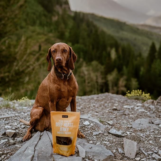 Natural Rapport Beef Heart Jerky Dog Treats - Single Ingredient, High Protein Dehydrated Treats for Training & Rewards (4 oz) (15+ Treats)