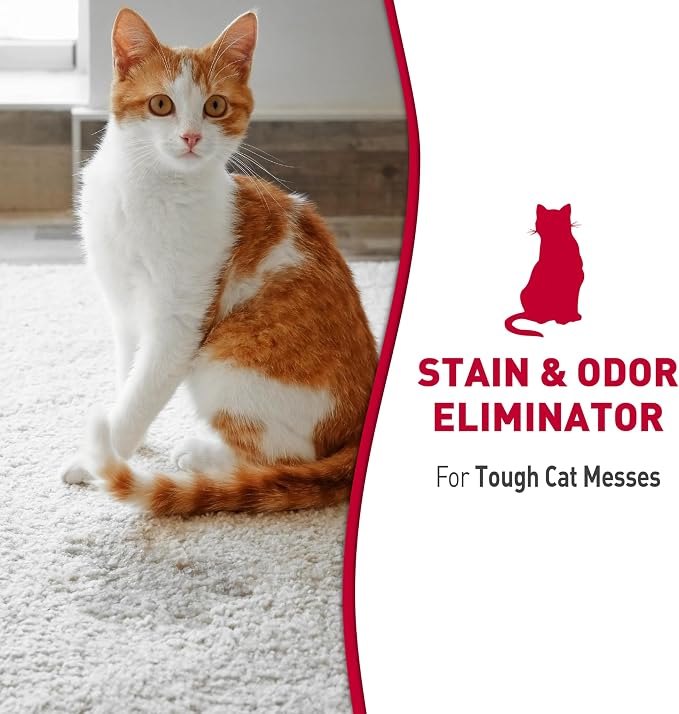 Nature's Miracle Advanced Stain and Odor Eliminator Foam Cat 17.5 Ounces, for Severe Cat Messes, Aerosol (1 CASE of 6 Individual 17.5 OZ CANS)