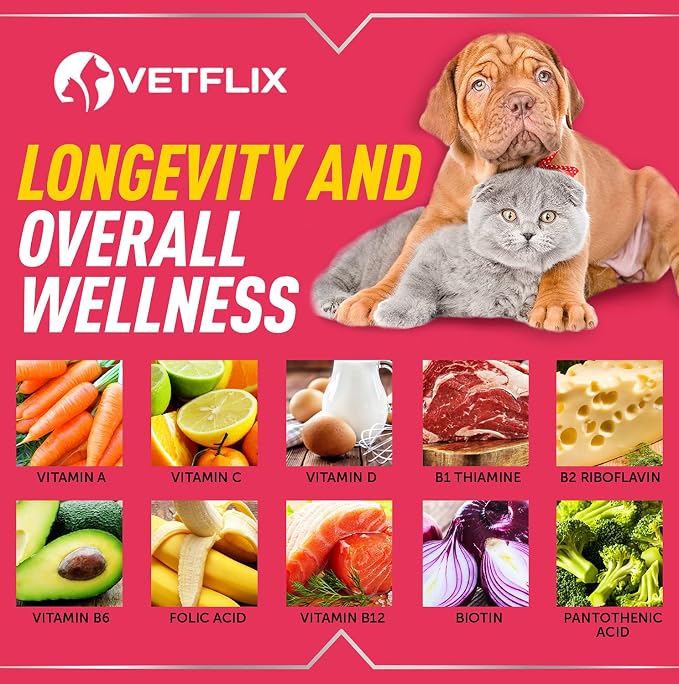 10 in 1 Pet Liquid Vitamins for Dogs, Cats, Puppies and Kittens, 2 Fl Oz | Glucosamine and Multivitamin Supplement, Joint Support, Immune Support, Skin Health, Made in USA