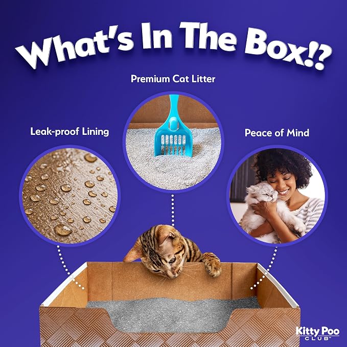 Kitty Poo Club Disposable Cat Litter Box 2-Pack with 2 Bags Fine-Grain Silica Litter (6 lbs Each), Patented Leak-Proof Design, 2 Months Odor Control, Made in USA, Perfect for Travel & Multi-Cat Homes