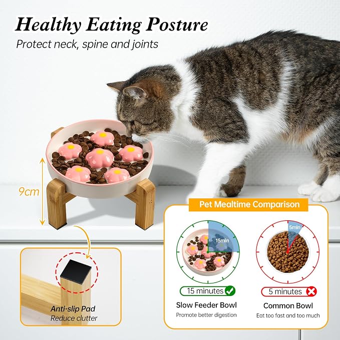 Slow Feeder Cat Bowl Set - Ceramic Raised Bowl with Bamboo Stand and Melamine Food Dish - Elevated, Anti-Vomiting, Interactive Maze