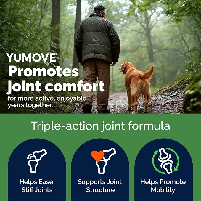 YuMOVE Advanced Vet Strength Hip & Joint Supplement for Dogs - ActivEase Green Lipped Mussel, Glucosamine, Hyaluronic Acid & Omega 3 for Serious Mobility Support (90ct Chews, Advanced Strength)