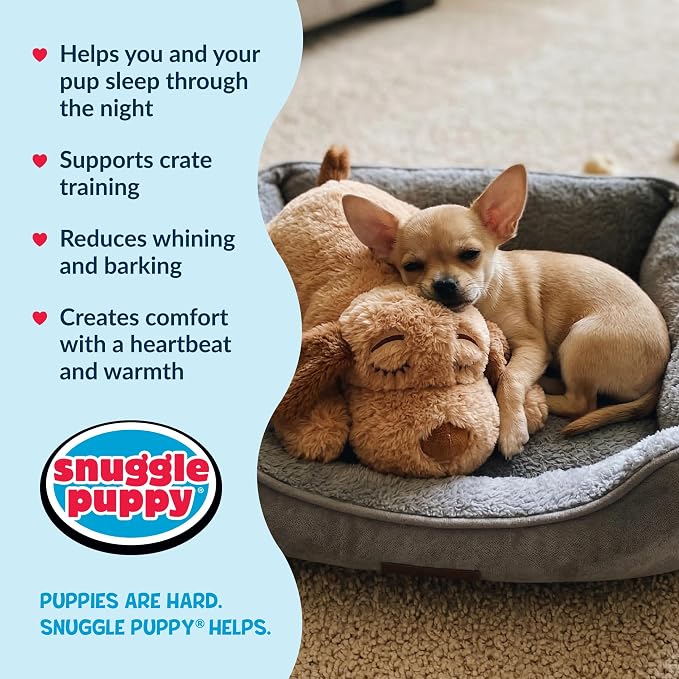 Snuggle Puppy Junior, Heartbeat Puppy Toy for Small Breeds, Smaller Plush Dog Toy with Real-Feel Pulse, Designed for Crate Use and Early Routines - Biscuit with 7 Overnight Heat Packs