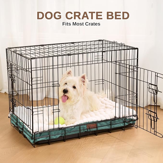 Orthopedic Dog Bed with Firm High-Density Egg Crate Foam,Soft Short Plush Surface Pet Beds,Machine Washable with Removable Cover & Non-Slip Bottom for Medium & Large Breeds (Green, 35"L x 22"W x 3"H)