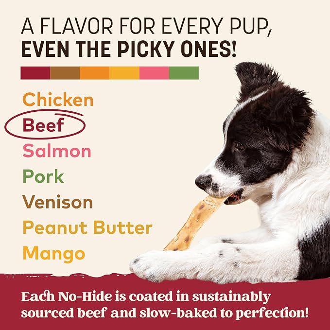 Earth Animal No Hide Strips - Natural Rawhide Free Dog Chew Strips, Beef - 4 Count