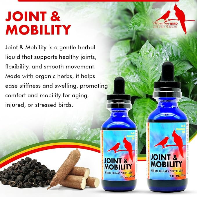 Morning Bird Joint & Mobility 1 fl oz – Herbal Liquid Supplement for Birds – Supports Joint Health, Muscle Comfort & Mobility – Ideal for Aging or Recovering Birds