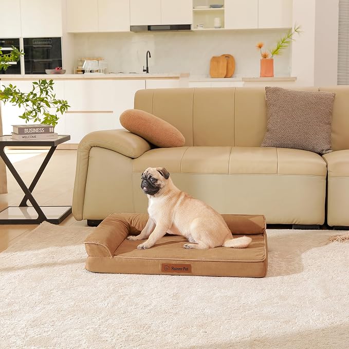 Rainmr Orthopedic Dog Bed Medium Size Dog, Memory Foam Dogs Bed for Medium Dogs, Washable and Removable Microsuede Cover, Waterproof Liner, Non-Skid Bottom, 30x20x6 Inches, Khaki