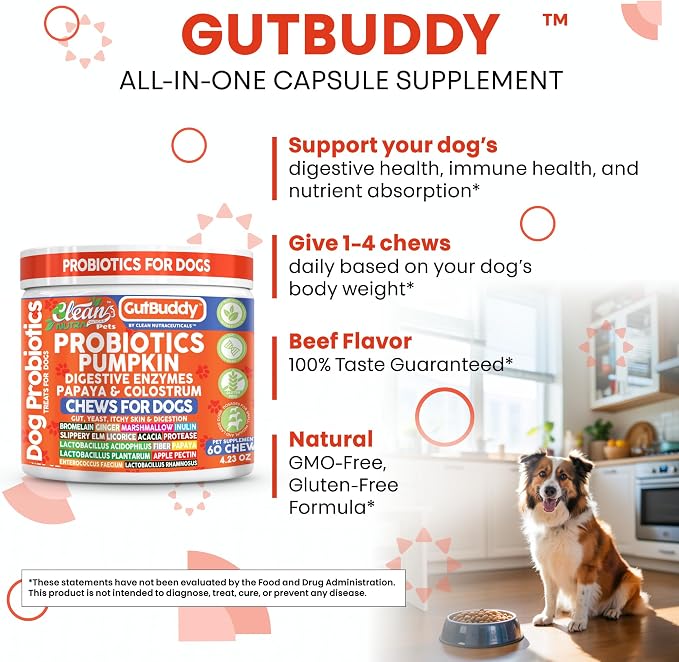 Gut Health Probiotics for Dogs + Pumpkin Colostrum Digestive Enzymes Ginger Slippery Elm Licorice Inulin Fiber Soft Chews Dog Probiotic Beef Flavor Digestion Supplement Treat Bites Large & Small Pets